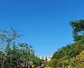 [날씨] 전국 대체로 맑아‥큰 일교차 주의