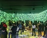 2023강원세계산림엑스포 추석연휴 나들이객 문전성시…연일 흥행 기록