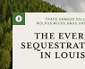 Trace Carbon Solutions and Molpus Woodlands Group Announce the Evergreen Sequestration Hub in Louisiana