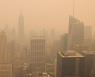 9·11 분진 능가한 최악 대기오염... 뉴욕, 항공기 멈추고 야구경기도 취소