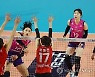 여자배구 흥국생명, 페퍼에 셧아웃 압승…9연승 선두 질주(종합)