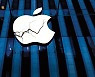 애플 DNA가 독이 됐나... ‘혁신의 대명사’, 2등기업 전락 위기