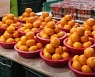 시장에선 오렌지가 맨 앞자리…수입 과일 대규모로 들어온다
