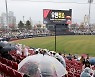 프로야구 광주·창원 경기 비로 취소