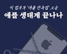 [카드뉴스]美 법무부에 이어 소비자들도 애플 집단소송