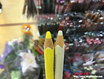 젓가락 천국 일본에서 발견한 이색 색연필 젓가락