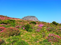 화제 카페 이미지