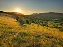 화제 카페 이미지