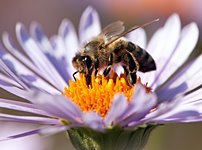 화제 카페 이미지