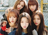 화제 카페 이미지