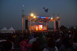 2011 서울국제불꽃축제