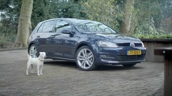 폭스바겐(Volkswagen) 7세대 골프(Golf)의 TV광고 - 시끄럽고 피곤한 강아지/자동차는 이제 그만, '개'편 [한글자막]