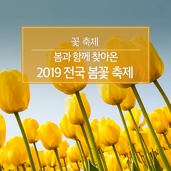 봄과 함께 찾아올 2019 전국 봄꽃 축제!